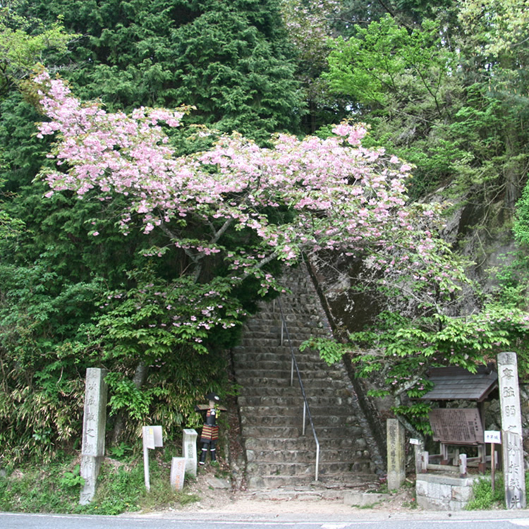 지하야아카사카마을