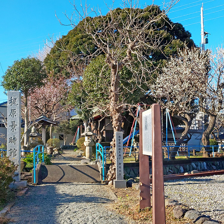 Samukawa Town