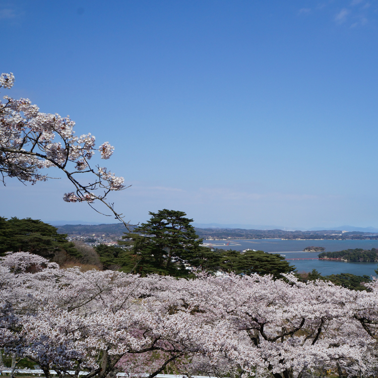 Matsushima Town