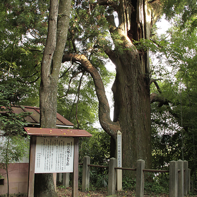 Tamakawa Village