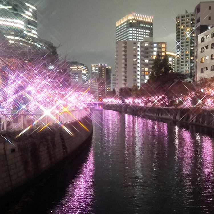 Shinagawa City