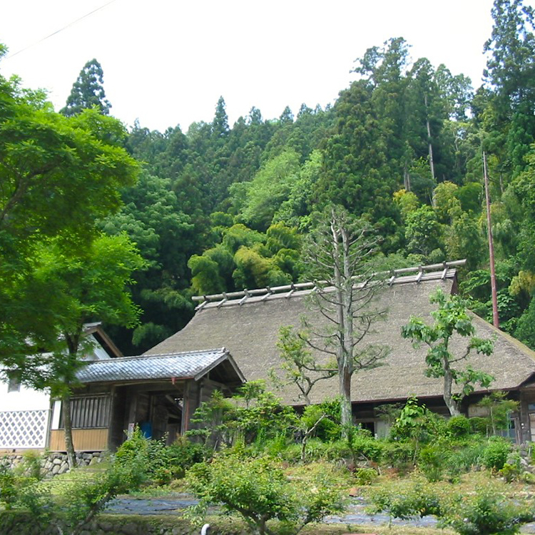 Village de Toyone