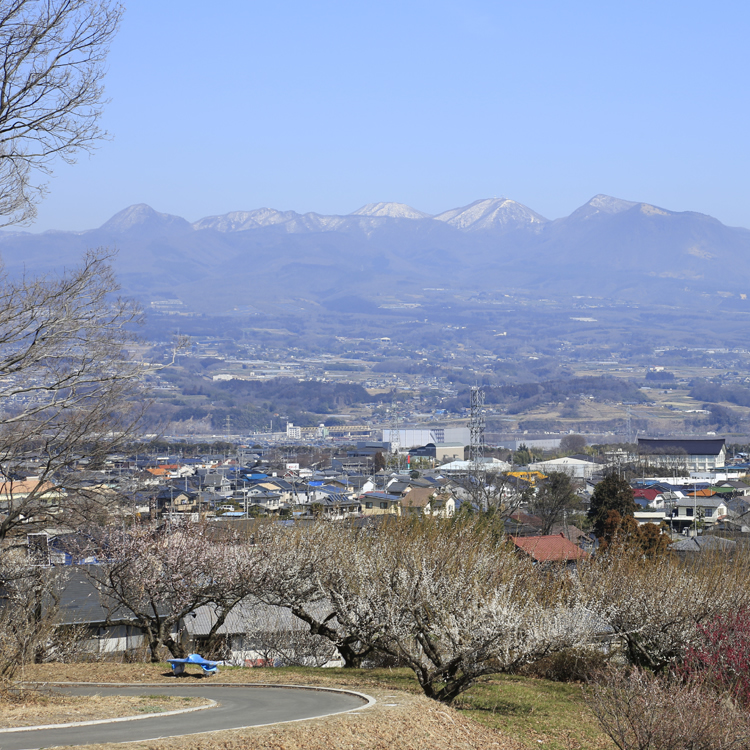 Città di Yoshioka