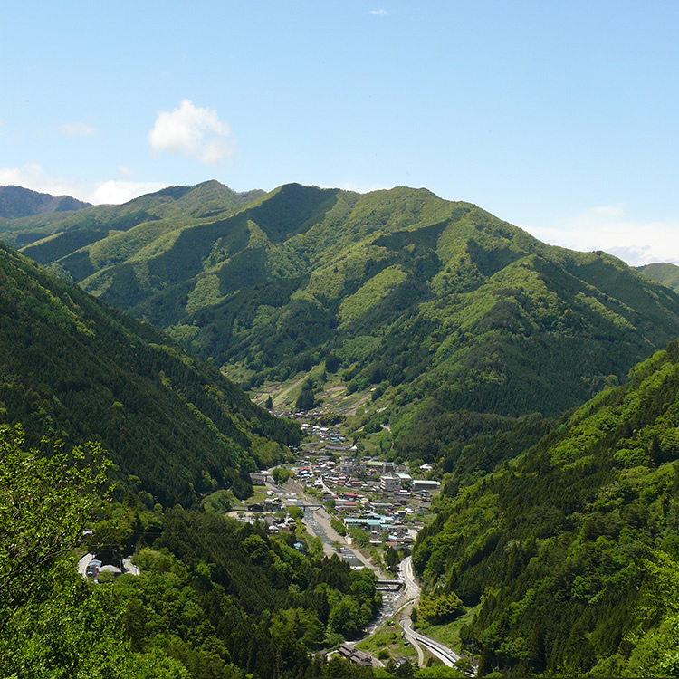Kosuge Village