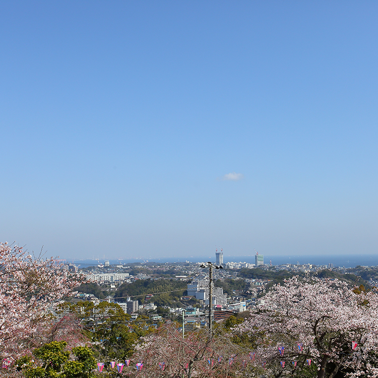 Thành phố Yokosuka